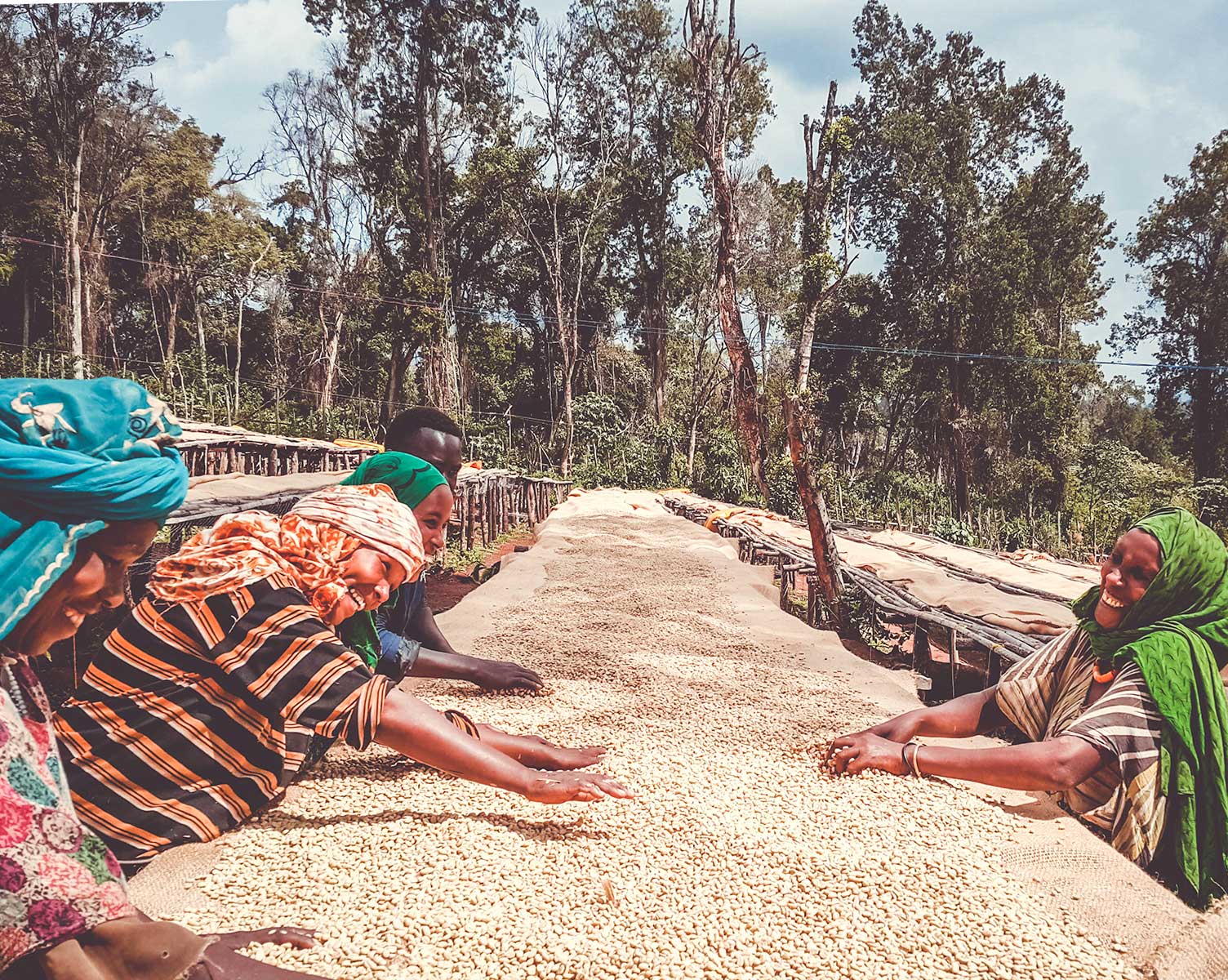 Mercanta Women Sorting Fresh Green Beans