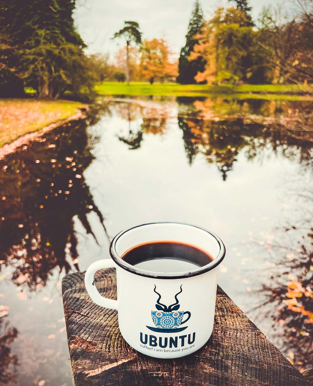 Travelling Ubuntu Koppie Early Morning Krenkerup Forest Lolland Denmark