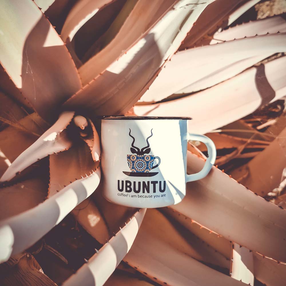 Travelling Ubuntu Koppie In Desert Aloe Namibia