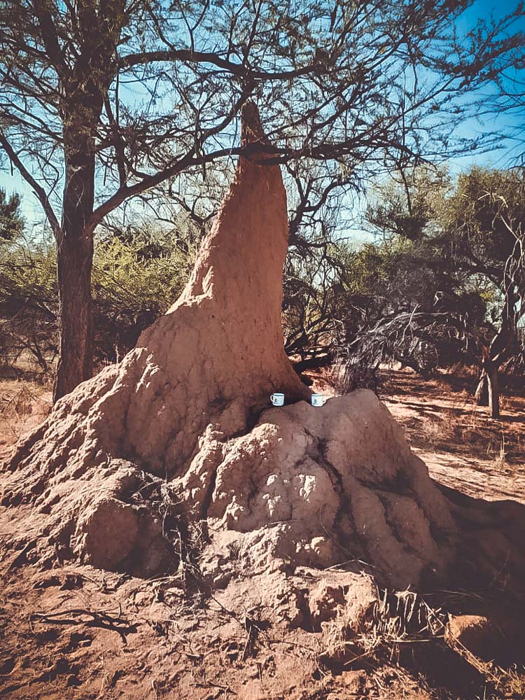 Travelling Ubuntu Koppie On Large Termite Hill Namibia