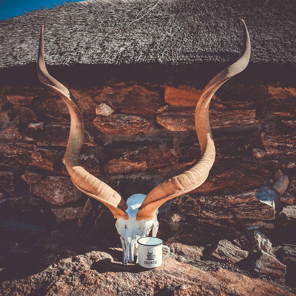Travelling Ubuntu Koppie With Kudu Horns Namibia