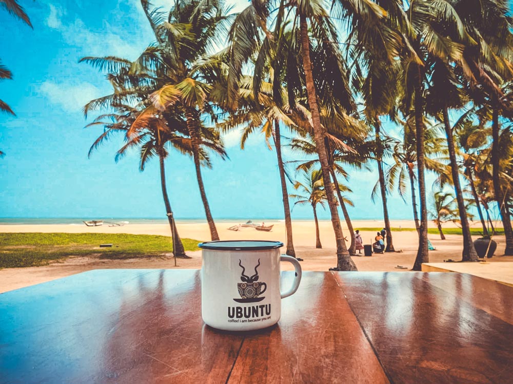 Travelling Ubuntu Koppie With Snowdrop Flowers Lolland Denmark