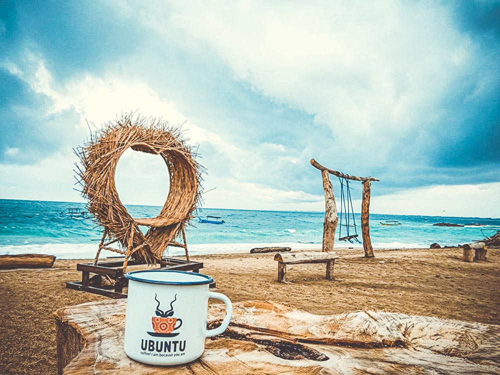 Travelling Ubuntu Koppie With Snowdrop Flowers Lolland Denmark