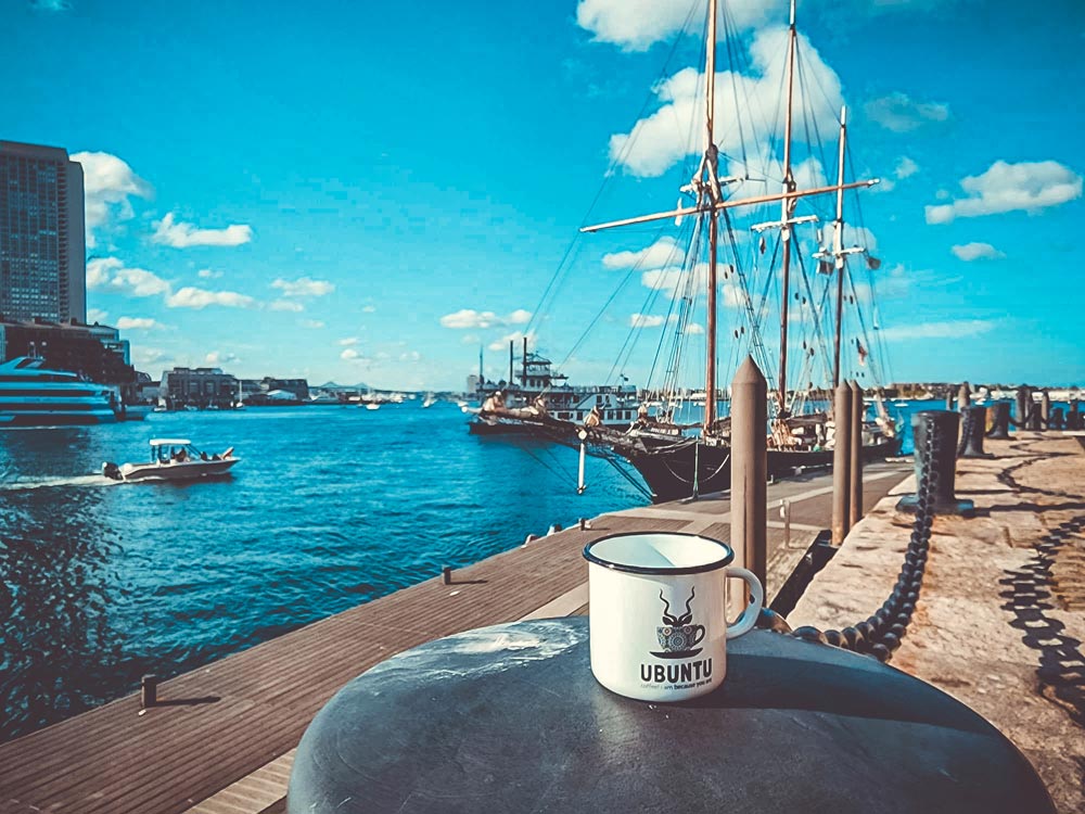 Travelling Ubuntu Koppie With Snowdrop Flowers Lolland Denmark