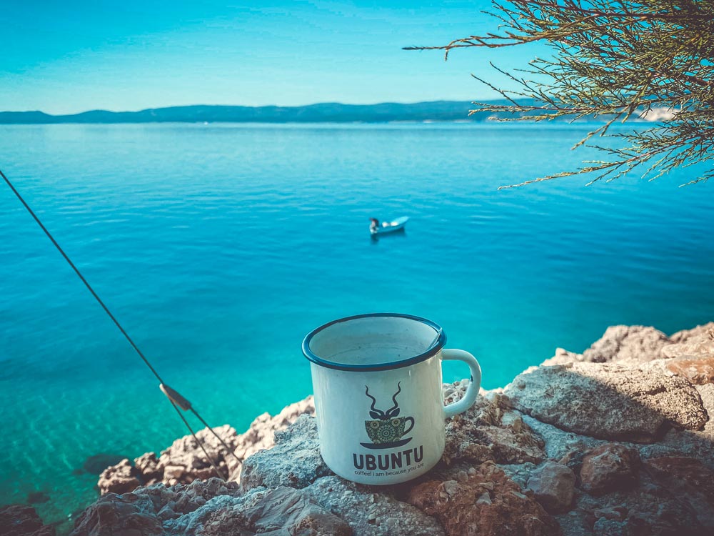 Travelling Ubuntu Koppie With Snowdrop Flowers Lolland Denmark