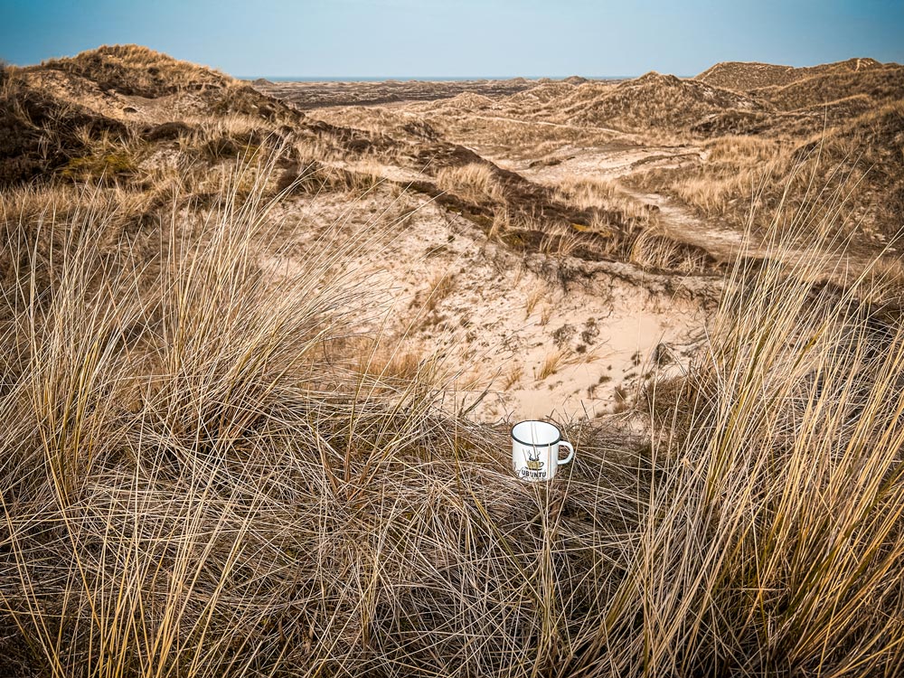 Travelling Ubuntu Koppie With Snowdrop Flowers Lolland Denmark