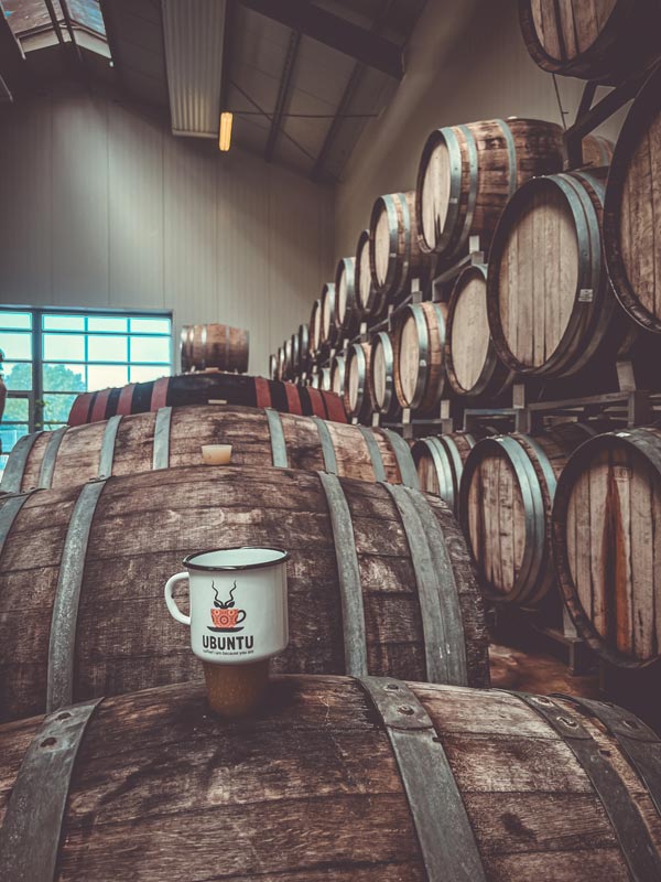 Travelling Ubuntu Koppie With Snowdrop Flowers Lolland Denmark