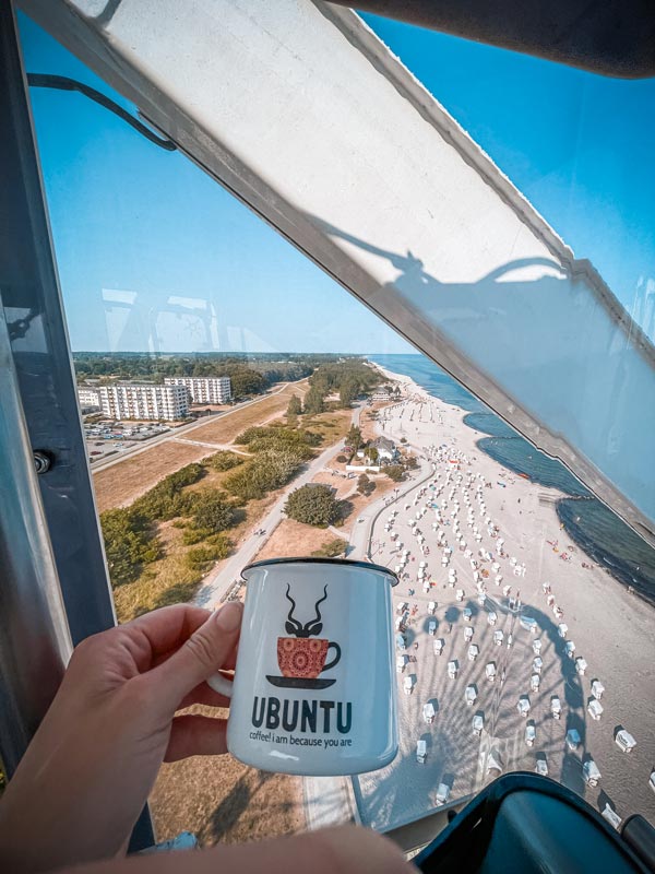 Travelling Ubuntu Koppie With Snowdrop Flowers Lolland Denmark