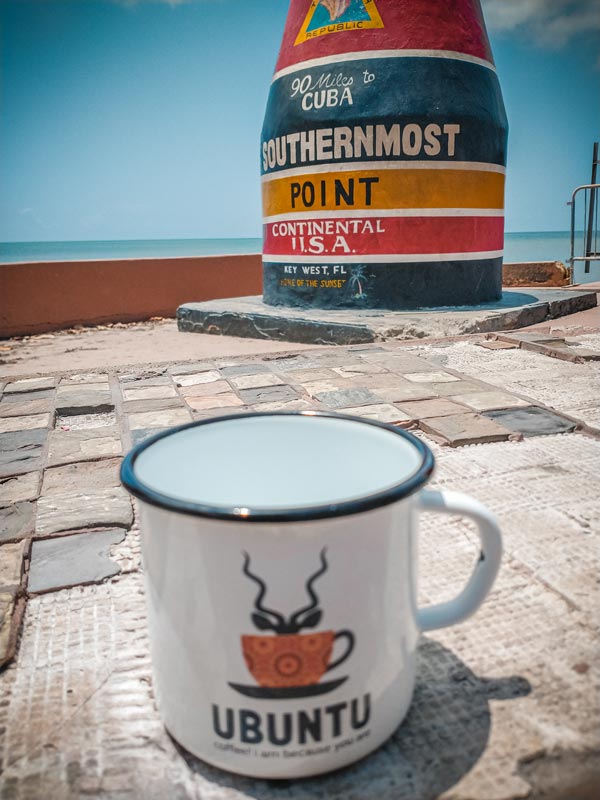 Travelling Ubuntu Koppie With Snowdrop Flowers Lolland Denmark