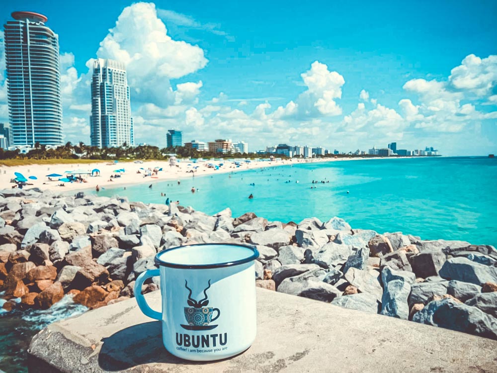 Travelling Ubuntu Koppie With Snowdrop Flowers Lolland Denmark