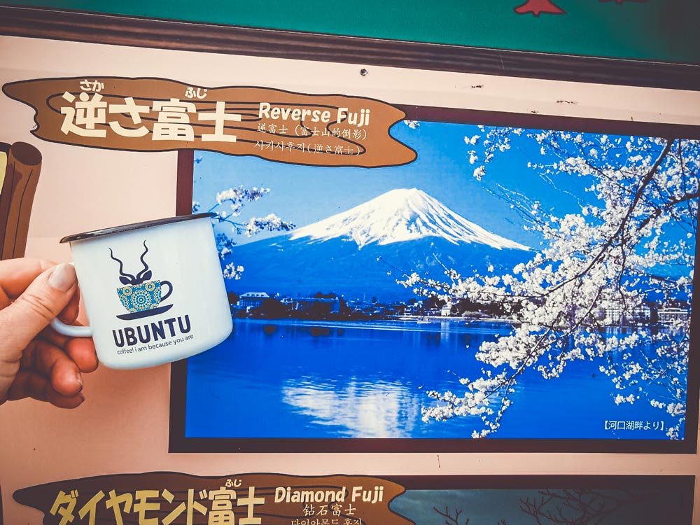 Travelling Ubuntu Koppie With Snowdrop Flowers Lolland Denmark